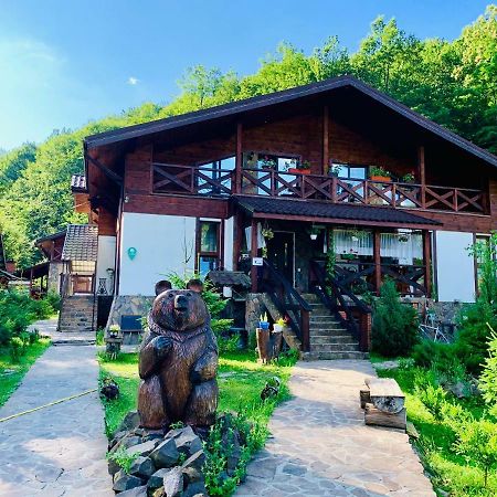 Chalet Vedmezhe Поляна Екстериор снимка