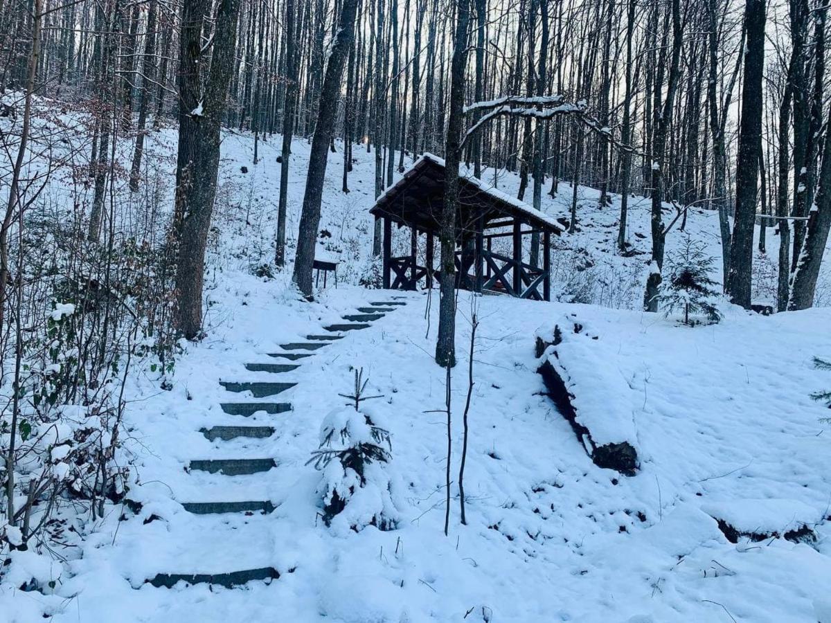 Chalet Vedmezhe Поляна Екстериор снимка