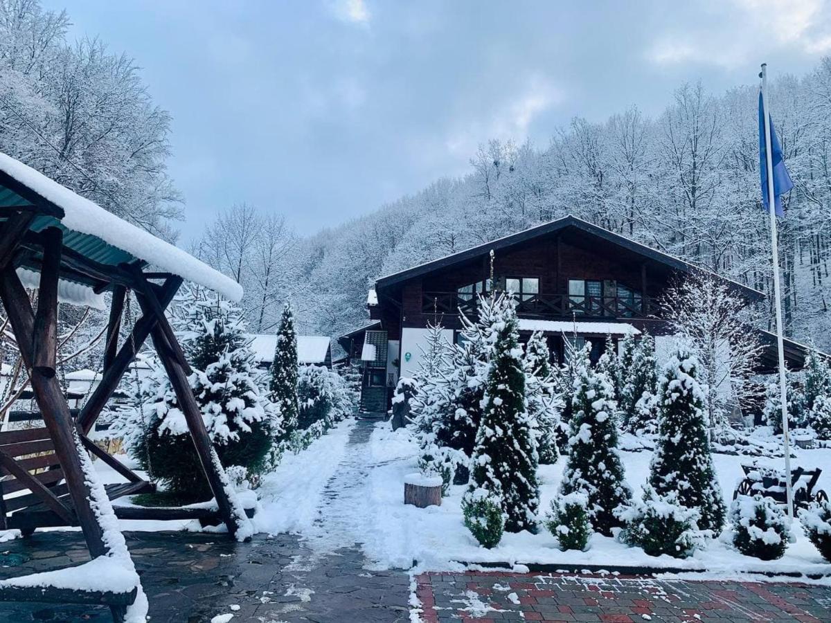 Chalet Vedmezhe Поляна Екстериор снимка