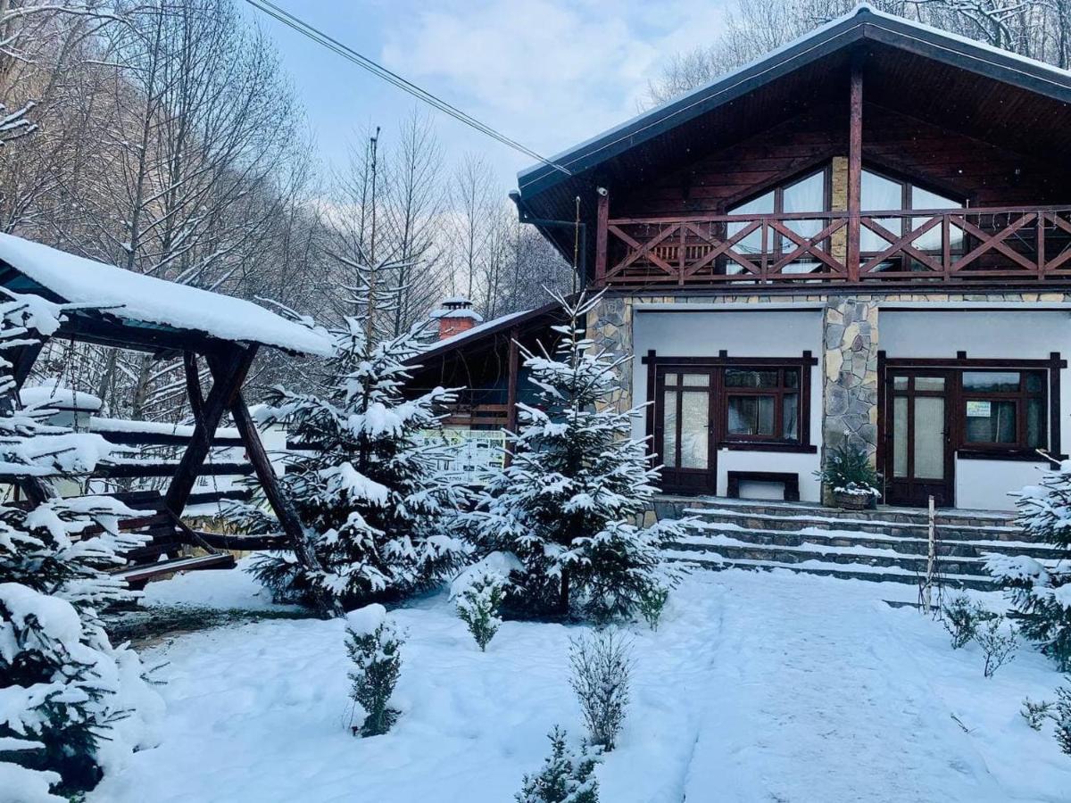 Chalet Vedmezhe Поляна Екстериор снимка
