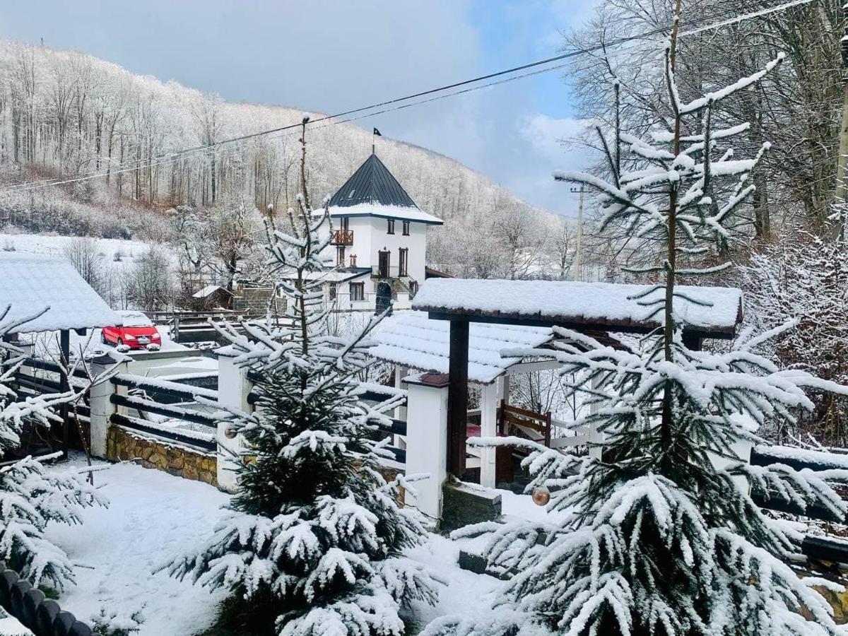 Chalet Vedmezhe Поляна Екстериор снимка