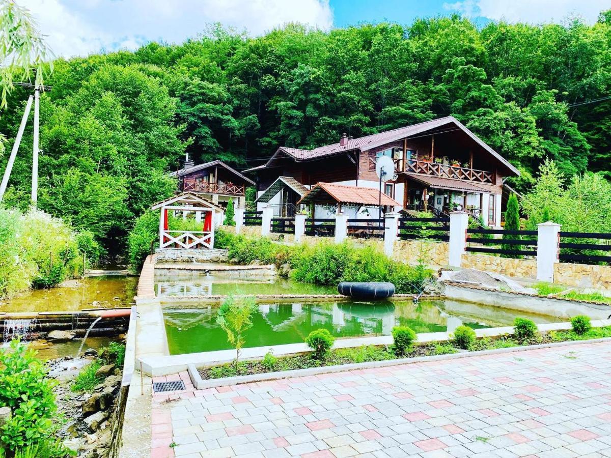 Chalet Vedmezhe Поляна Екстериор снимка