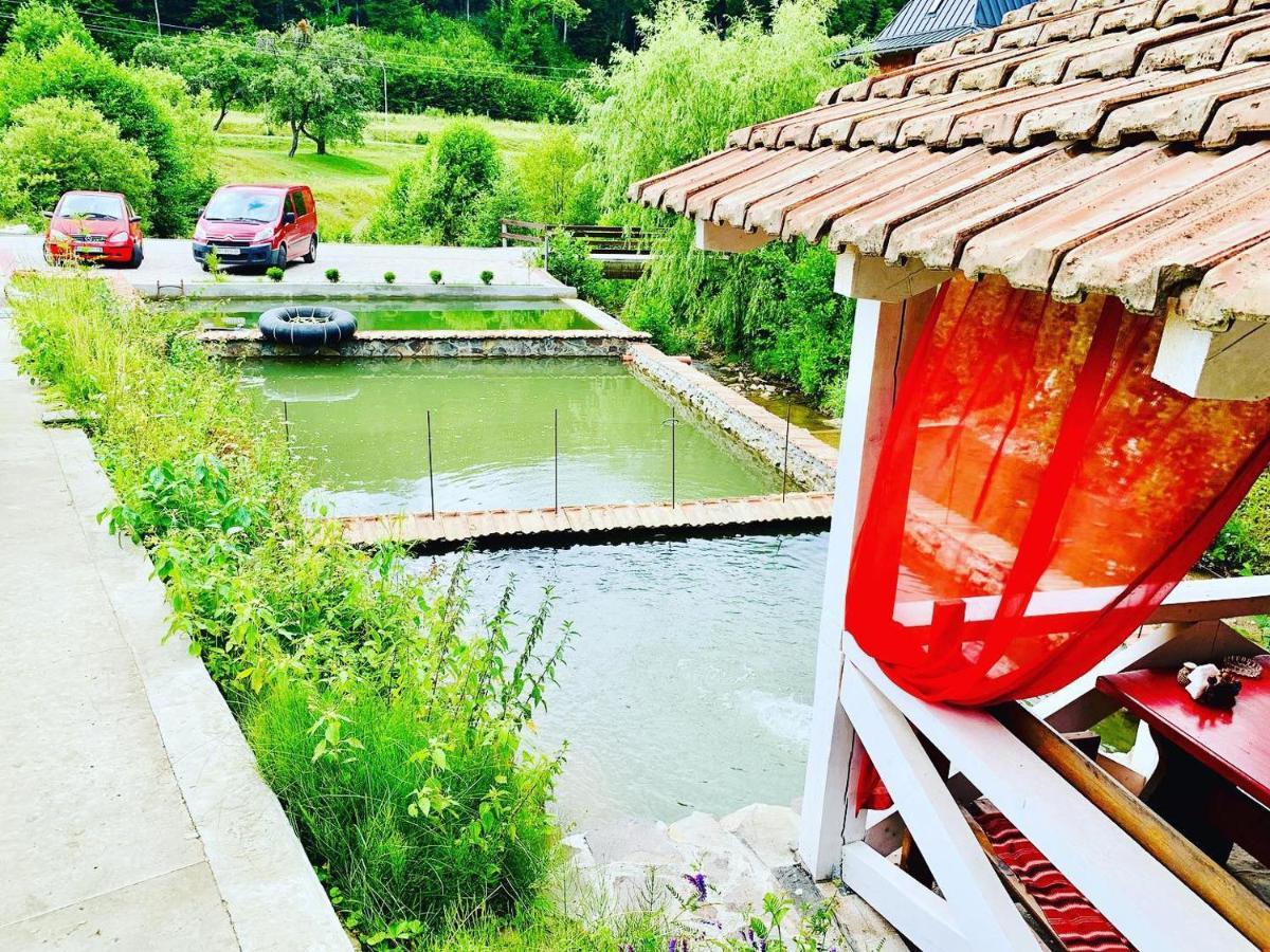 Chalet Vedmezhe Поляна Екстериор снимка