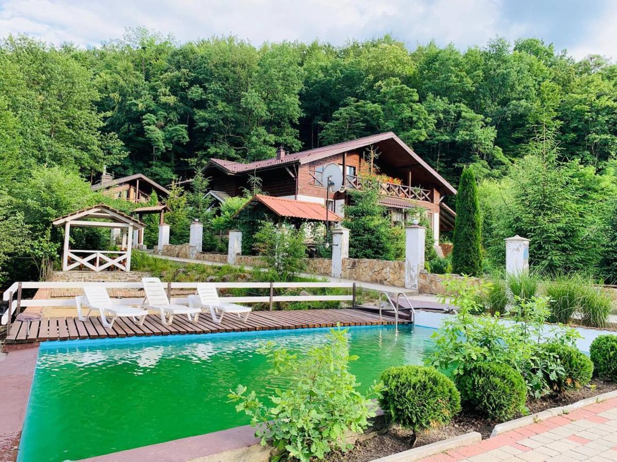 Chalet Vedmezhe Поляна Екстериор снимка