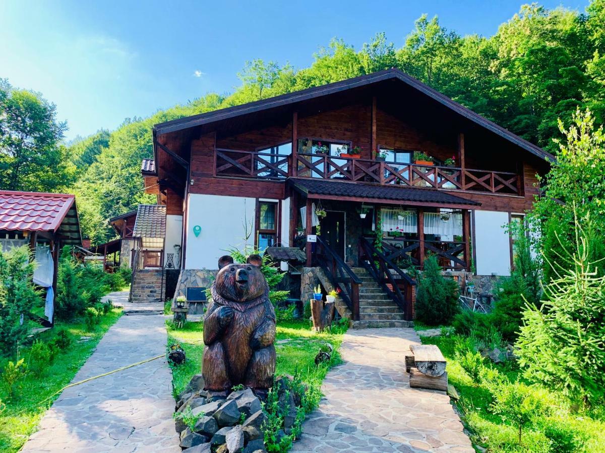 Chalet Vedmezhe Поляна Екстериор снимка